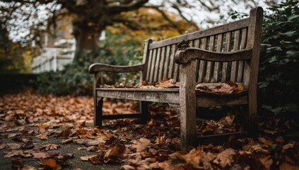 Fototapeta premium Wooden park bench amidst autumn leaves