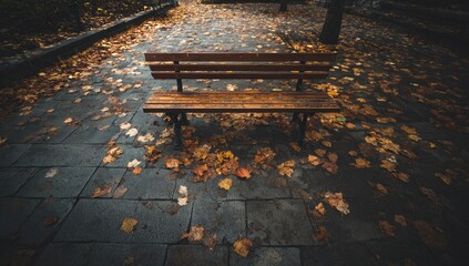 Autumnal park bench (1)
