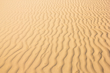 夏の鳥取砂丘とその紋様 鳥取県 鳥取砂丘