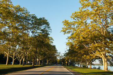 Obraz premium Beautiful road of Niagara river parkway in Niagara Falls, Ontario, Canada