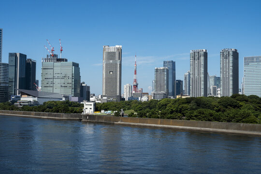 東京の風景、東京タワーとビル群
