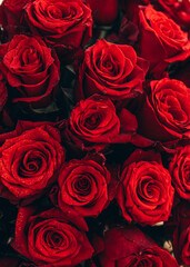 Elegant bouquet of fresh red roses on the sand, symbolizing romance, love, passion, and celebration. Perfect floral arrangement for Valentine’s Day, weddings, anniversaries, and romantic occasions.