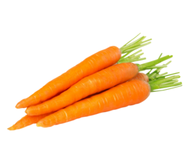 bunch of carrots