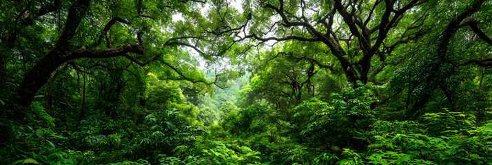 Fototapeta premium Deep tropical jungles of Southeast Asia, green trees tunnel extra wide background banner