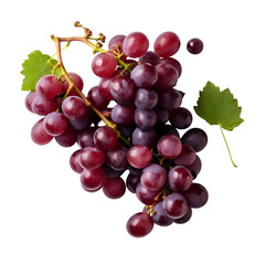 Fototapeta premium Red Grapes Cluster Vine Leaves Dark Background