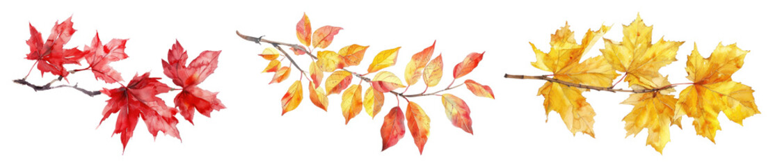 Obraz premium PNG Vibrant autumn leaves illustration, element set on transparent background