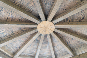 枚方市天野川緑地（散歩、健康イメージ）