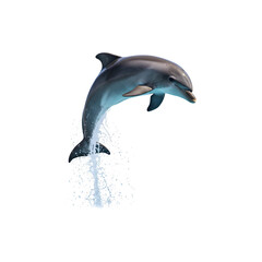 Naklejka premium Energetic dolphin jumping high out of water isolated on white background for wildlife, sea animals and ocean concepts