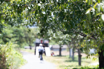 Fototapete bei efototapeten.de bestellen   