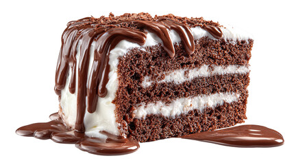 Layered Chocolate Cake with Frosting, Raspberries, Sauce and Mint