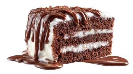 Layered Chocolate Cake with Frosting, Raspberries, Sauce and Mint