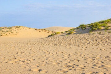夏の鳥取砂丘の風景 鳥取県 鳥取砂丘