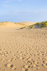 夏の鳥取砂丘の風景 鳥取県 鳥取砂丘