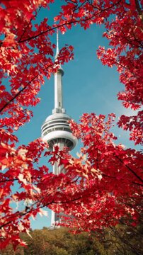 Beautiful fall colors in Toronto, Canada