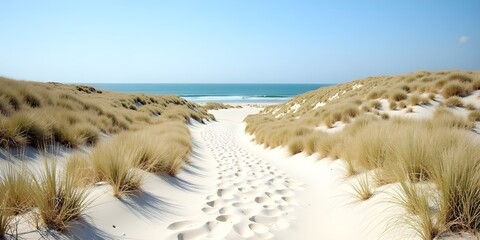 Escape to paradise with serene beach path and dreamy ocean views, perfect for summer travel inspiration
