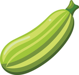 A fresh green zucchini resting on a clean white background.