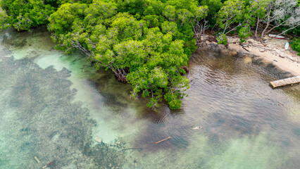 Stunning aerial view of lush greenery along the shore of Rosario Island, showcasing crystal-clear waters and sandy beaches.