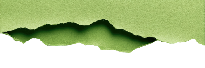 Light-green paper with jagged, torn edges, creating a landscape-like effect.  Dark, bold outline marks the tear line