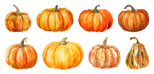 PNG Vibrant watercolor pumpkins collection, element set on transparent background