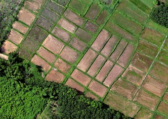 Top View Aerial Photograph