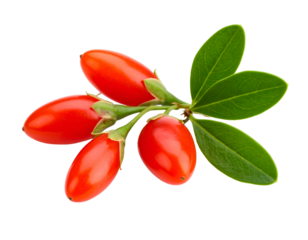 fresh gojiberry isolated on transparent png