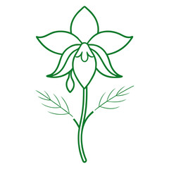 line art yellow archangel  vector 