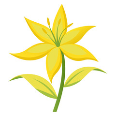 vector illustration isolated of yellow asphodel on-white