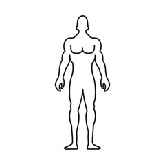 human body anatomy icon Isolated flat vector in outline simple illustration for web and app..eps