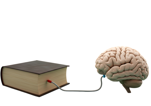 Brain connected to a book symbolizes knowledge transfer, learning, and intellectual development concept