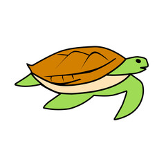 turtle vector icon