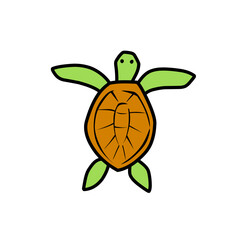 turtle vector icon