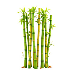 Bamboo growth action in tranquil forest setting nature illustration serene environment