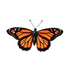 Naklejka premium Monarch butterfly in nature close-up photography vibrant orange colors natural habitat detailed view