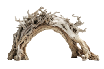 Arched driftwood, light beige, intricate patterns