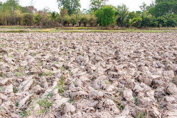 Fototapeta premium Landscape of tiller marks in plowed soil ground, aerial. Plow marks on dry fields agricultural in rural areas where farmers work to cultivate crops. Weather conditions. Texture background abstract