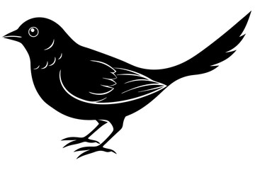 Vector illustration of a bird
