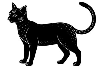 Vector illusion of  black and white cat