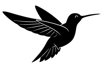 Vector illustration of a humming bird 