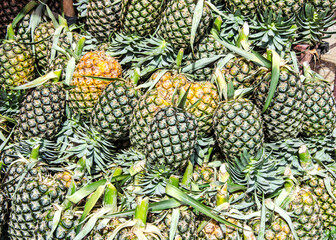 Fresh pineapples