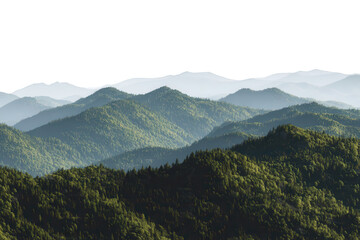 Fototapeta premium Lush Green Mountain Range with Forest on Transparent Background for Design Projects