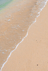 At the beach