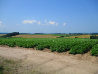 Biei, Hokkaido, Japan - Diorama Effect