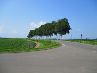 Biei, Hokkaido, Japan - Diorama Effect