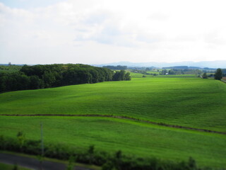 Biei, Hokkaido, Japan - Diorama Effect