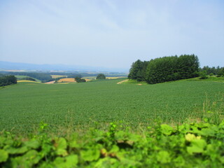 Biei, Hokkaido, Japan - Diorama Effect