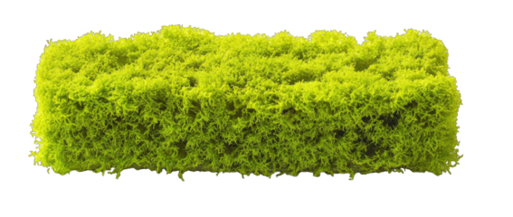 Bright green rectangular moss block
