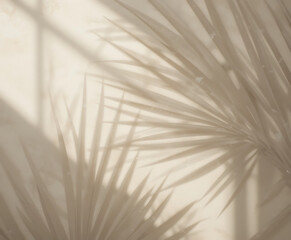 Serene Palm Shadows A Minimalist Tropical Aesthetic on a Textured Wall