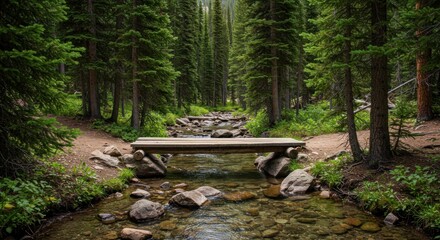 A tranquil forest scene. A small wooden bridge spans a clear, rocky stream. Towering evergreens flank the path, creating a verdant tunnel