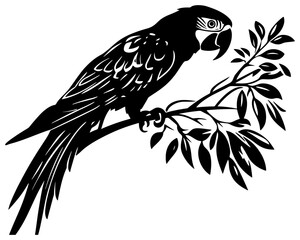 Fototapeta premium Parrot bird silhouette drawing