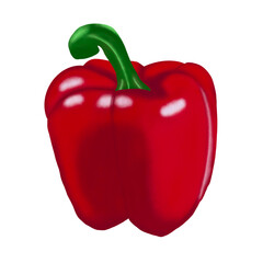 red bell pepper